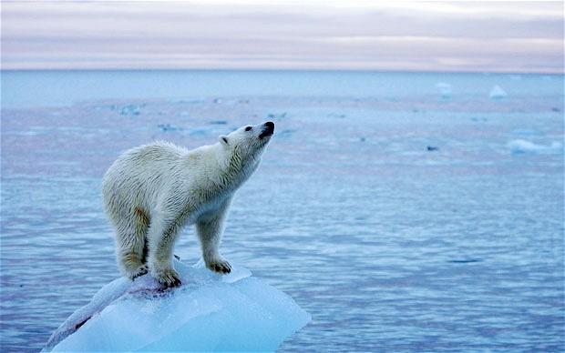 KLIMATSKE PROMJENE Do 2050. godine će stradati pola miliona ljudi