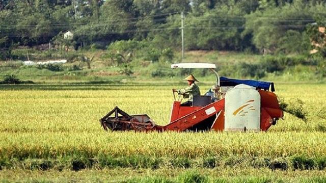 Kineski arheolozi otkrili polje riže staro 8.000 godina