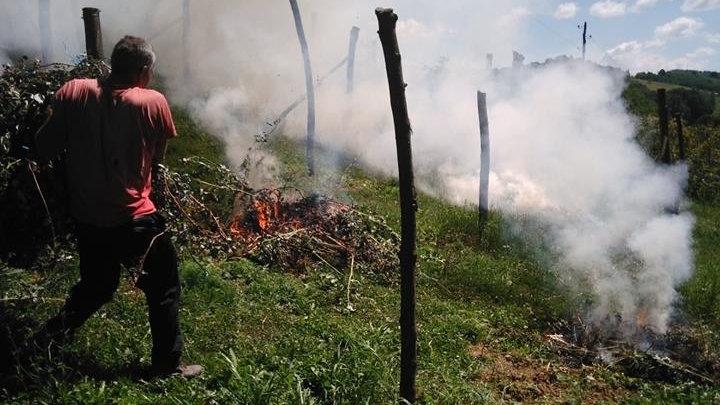 Spalio sopstveni malinjak i ogorčeno poručuje: Ne mogu je davati za 1,5 KM