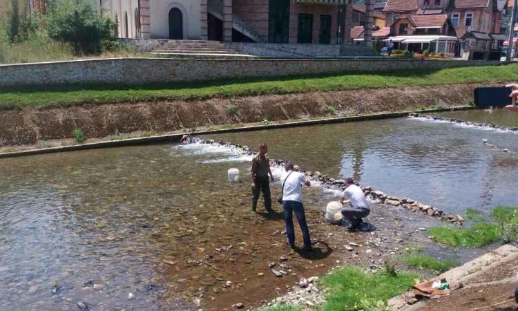 Rijeke na području Fojnice poribljene sa 30 hiljada komada potočne pastrmke