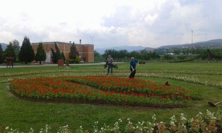 Radnici Parka i po visokim temperaturama brinu o zaštiti zelenih površina