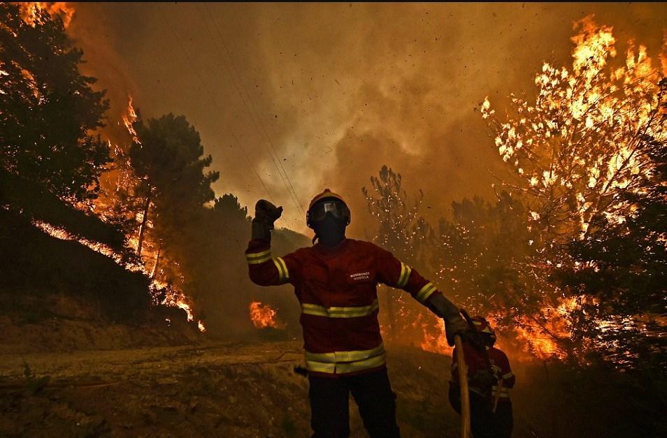 Portugal: Srušio se helikopter dok je gasio požar na sjeveru zemlje