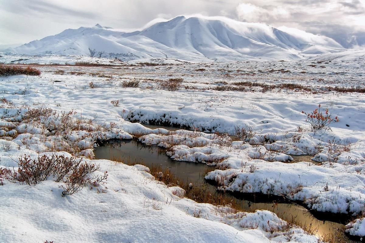 Permafrost na Aljasci se topi, naučnici upozoravaju na katastrofalne posljedice