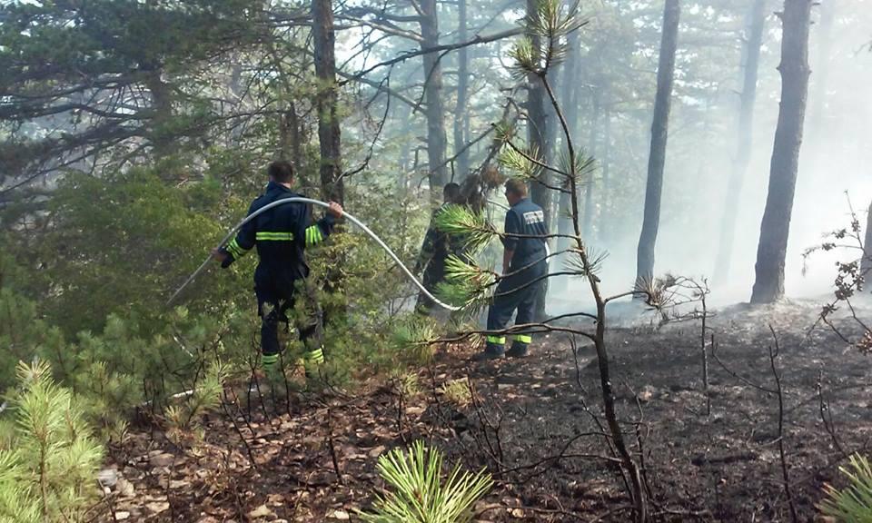 Šibenik: Požari izazvani iz nehata i zbog privatnih sukoba