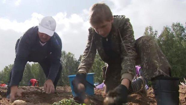 Predsjednik Bjelorusije sa sinom nasljednikom vadio krompir na svojoj njivi