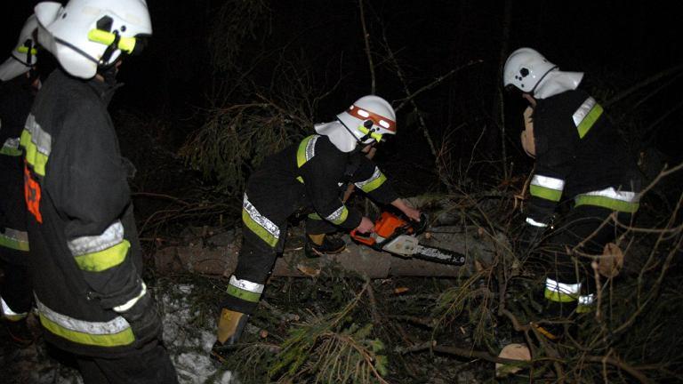 Nevrijeme u Poljskoj: Vjetar oborio stablo na automobil, poginuo dječak