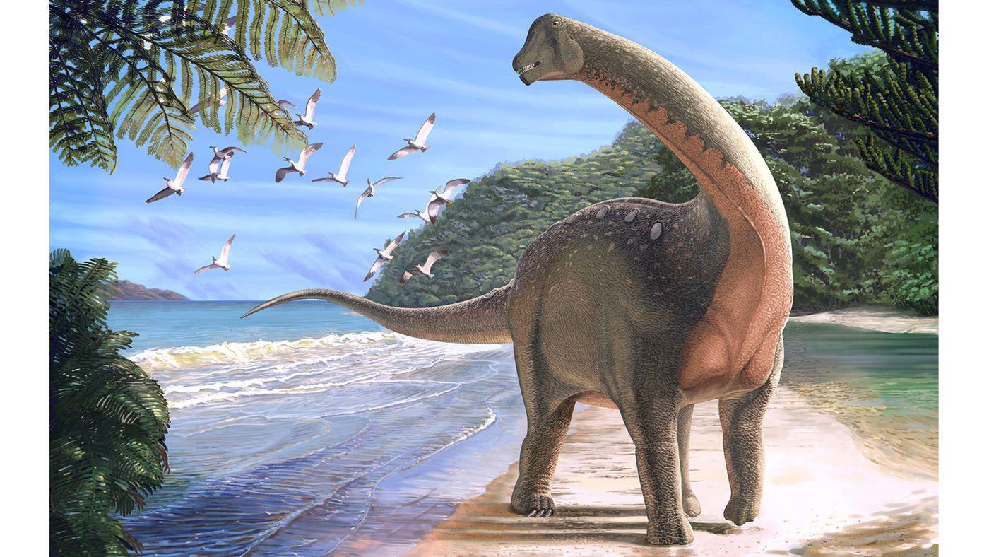 U Egiptu pronađeni ostaci dinosaurusa stari 80 miliona godina