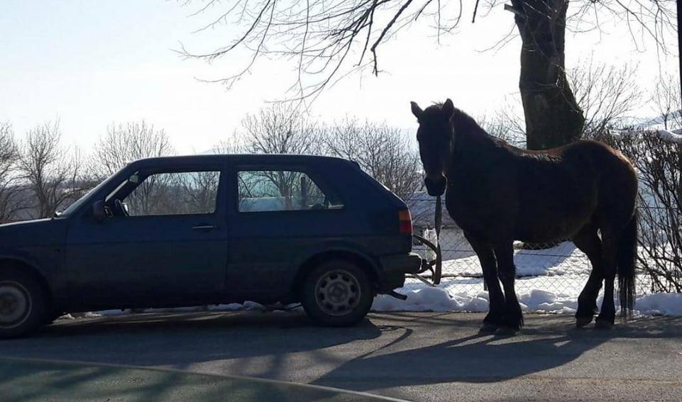 Nesvakidašnja situacija u BiH: Umjesto za drvo, konja vezao za Golf