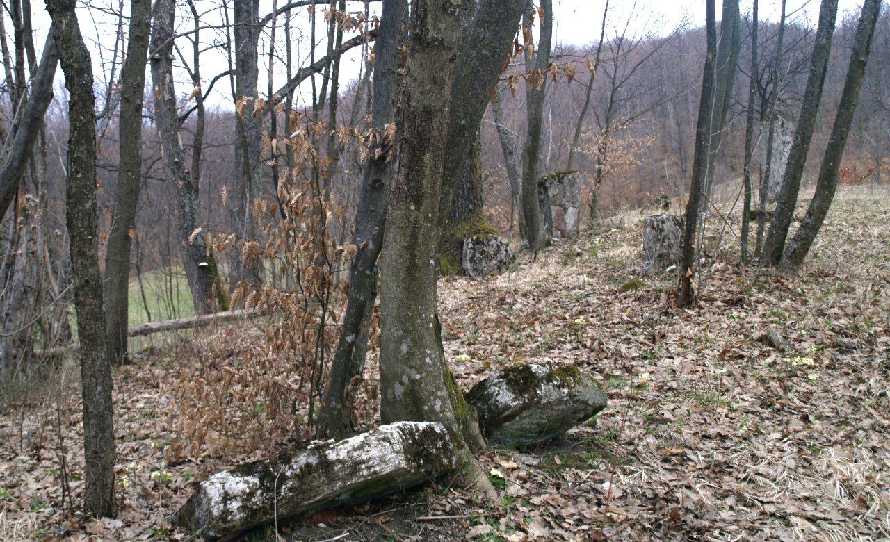 Nacionalni spomenik zapušten, zarastao u travu i šipražje