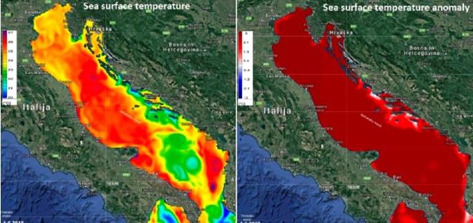 Jadran je najtopliji u posljednjih 100 godina: Šta se to događa?