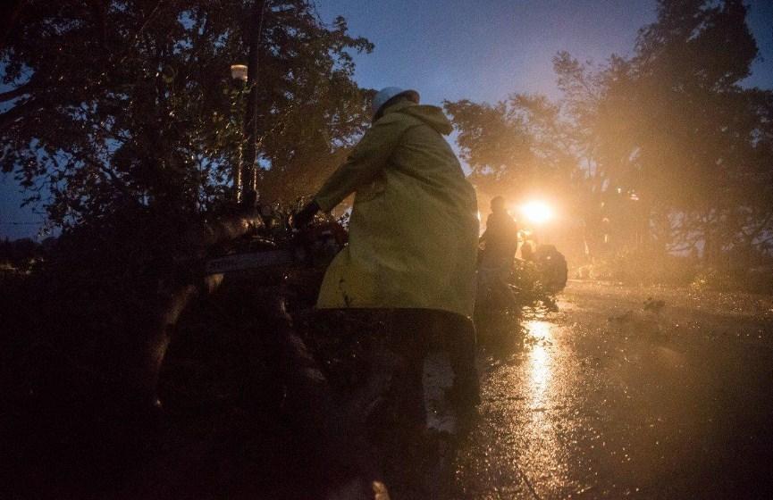 U olujnom nevremenu u Poljskoj poginuo zamjenik gradonačelnik kojeg je prignječila grana