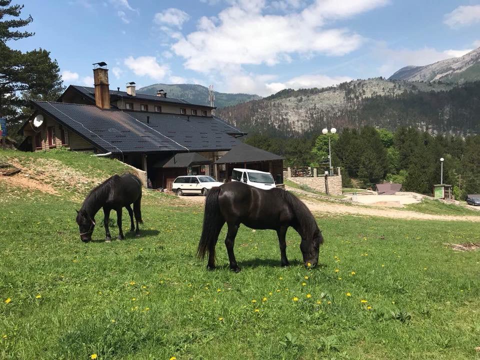 Rujište: Bijeg s vrelog asfalta u planinsku oazu s netaknutom prirodom