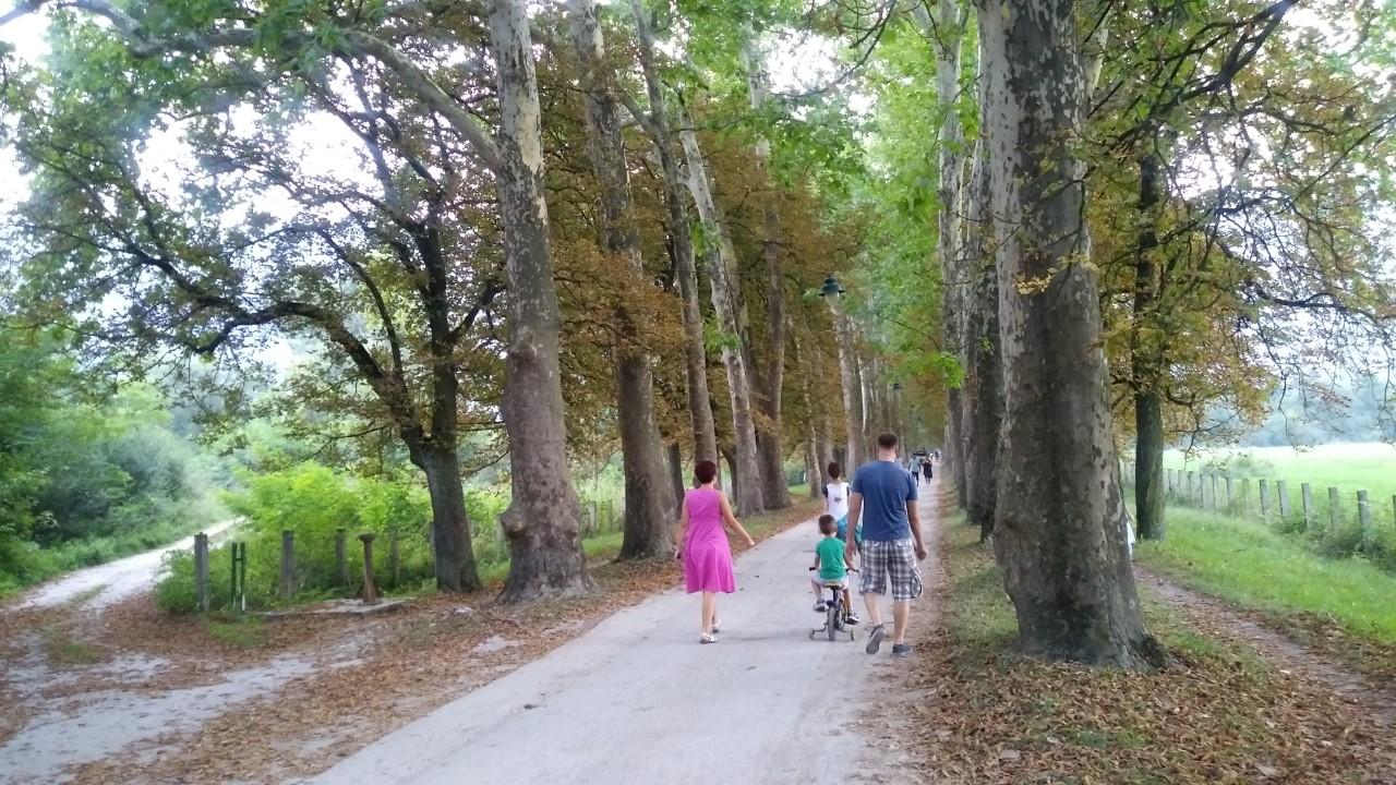 Najkritičnije stanje u Velikoj aleji - Avaz