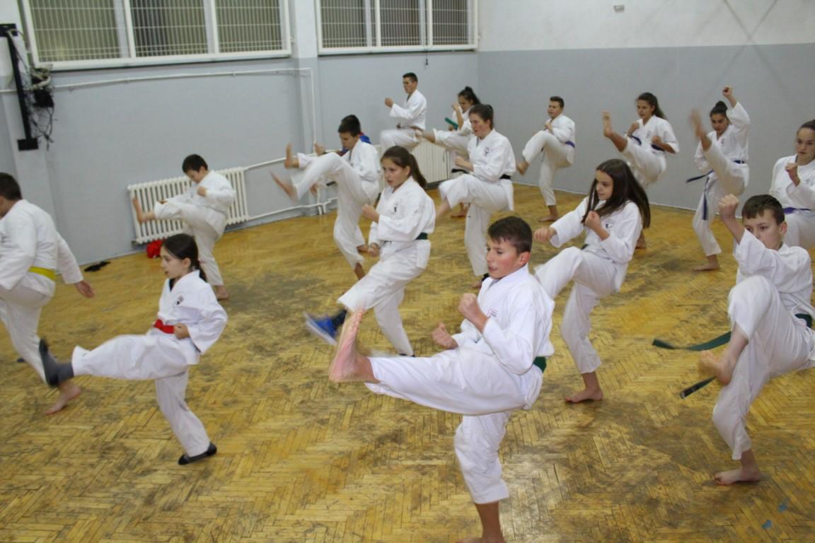 Članovi Karate kluba Zanshin Kreševo - Avaz