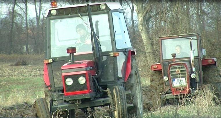 Iako su visokoobrazovani, braća se ne libe ni teškog fizičkog rada - Avaz