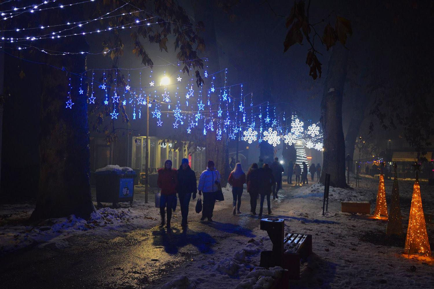 Najviša jelka u BiH nalazi se u Maglaju