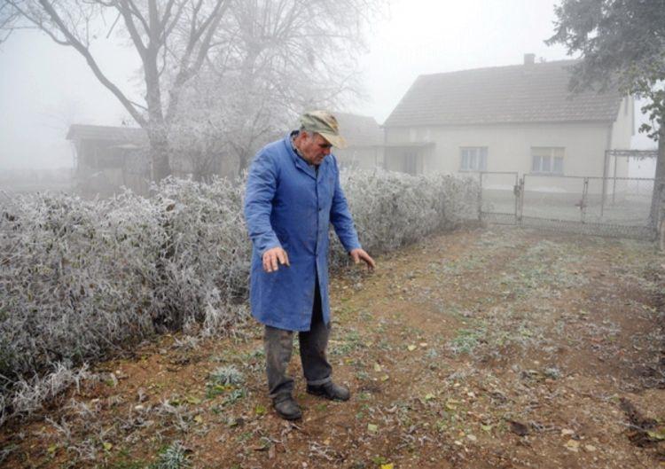 Petnaest godina bez odgovora ko je ubio Stevana Šućura