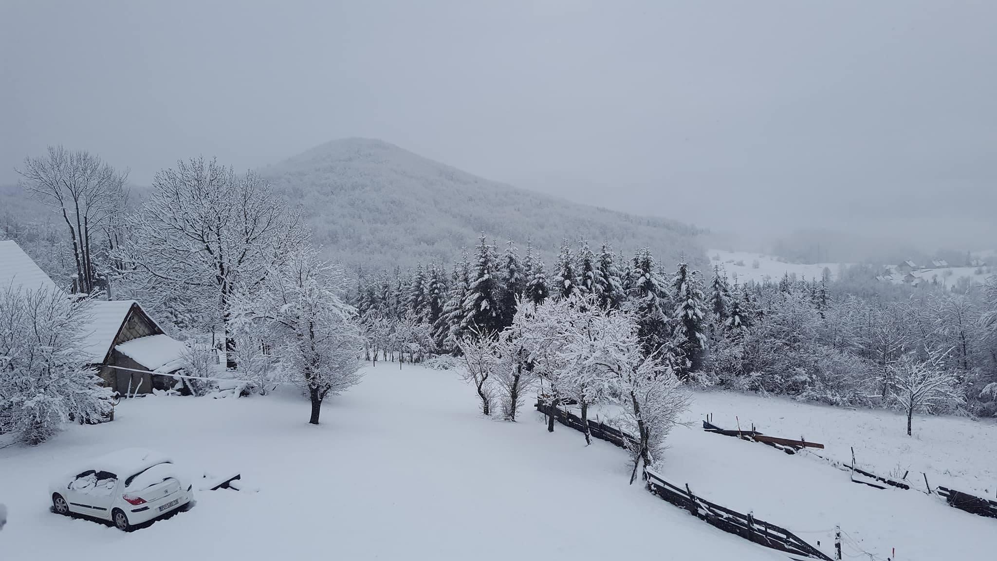 Vukovi rastrgali tijelo muškarca kod Mrkonjić-Grada