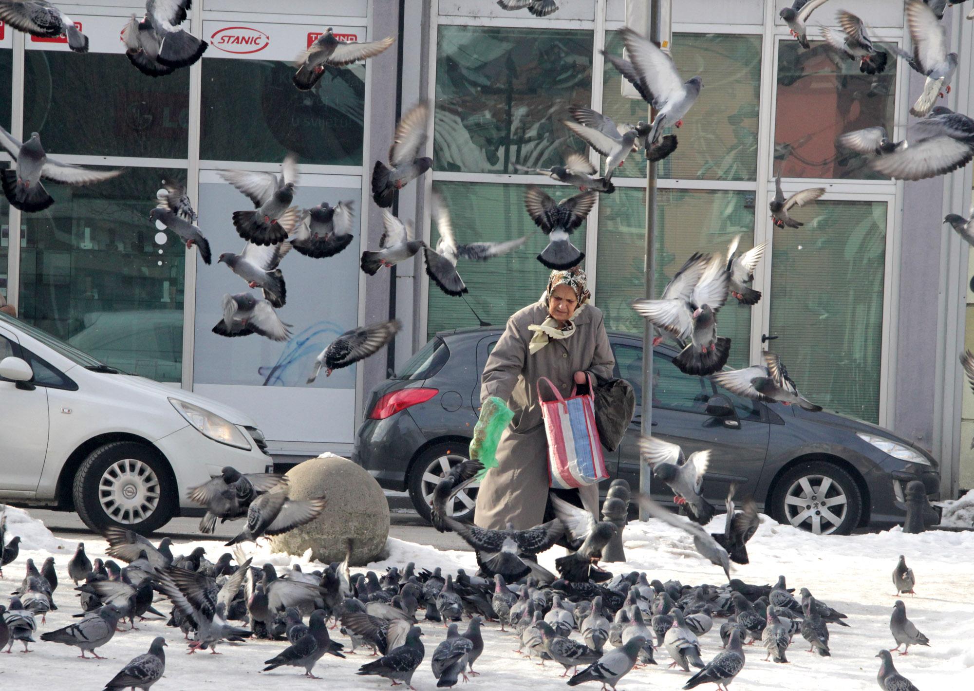 Tuzla: Nana hrani golubove - Avaz