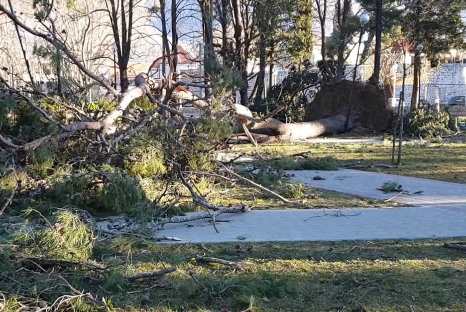 Nezapamćeno nevrijeme u Trebinju, vjetar devastirao Gradski park