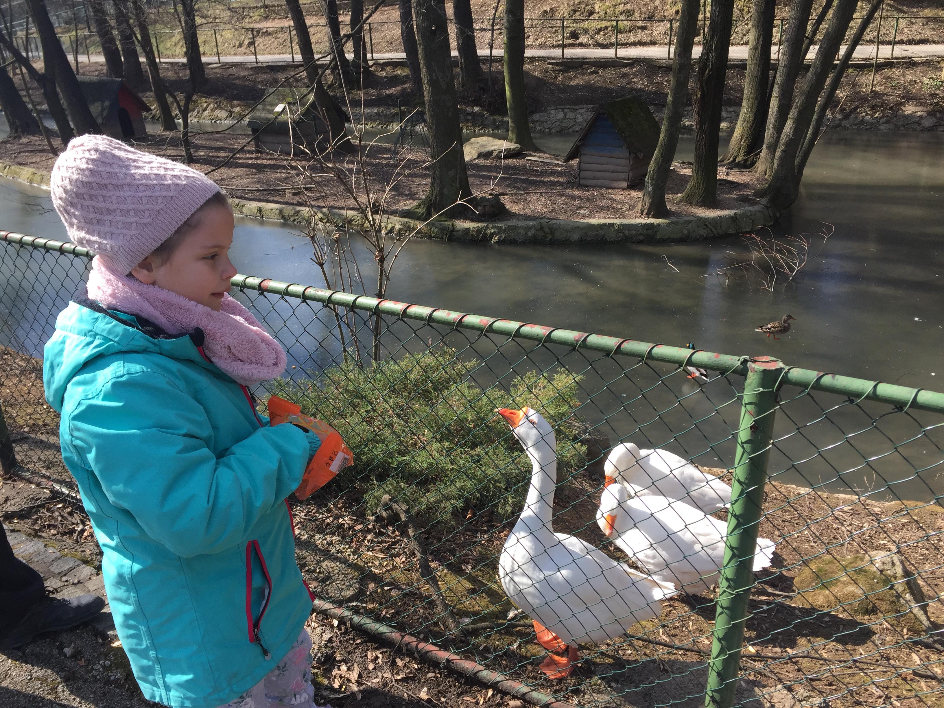 Pažnju mališana plijenile životinje - Avaz