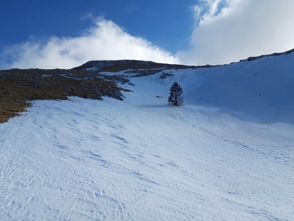 Prelijep pogled sa vrha Brasina - Avaz