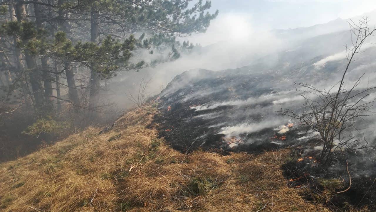 Na području općine Gacko aktivna četiri požara - Avaz