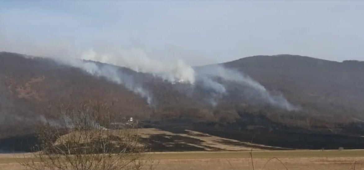 Vatra zahvatila veći dio šume - Avaz