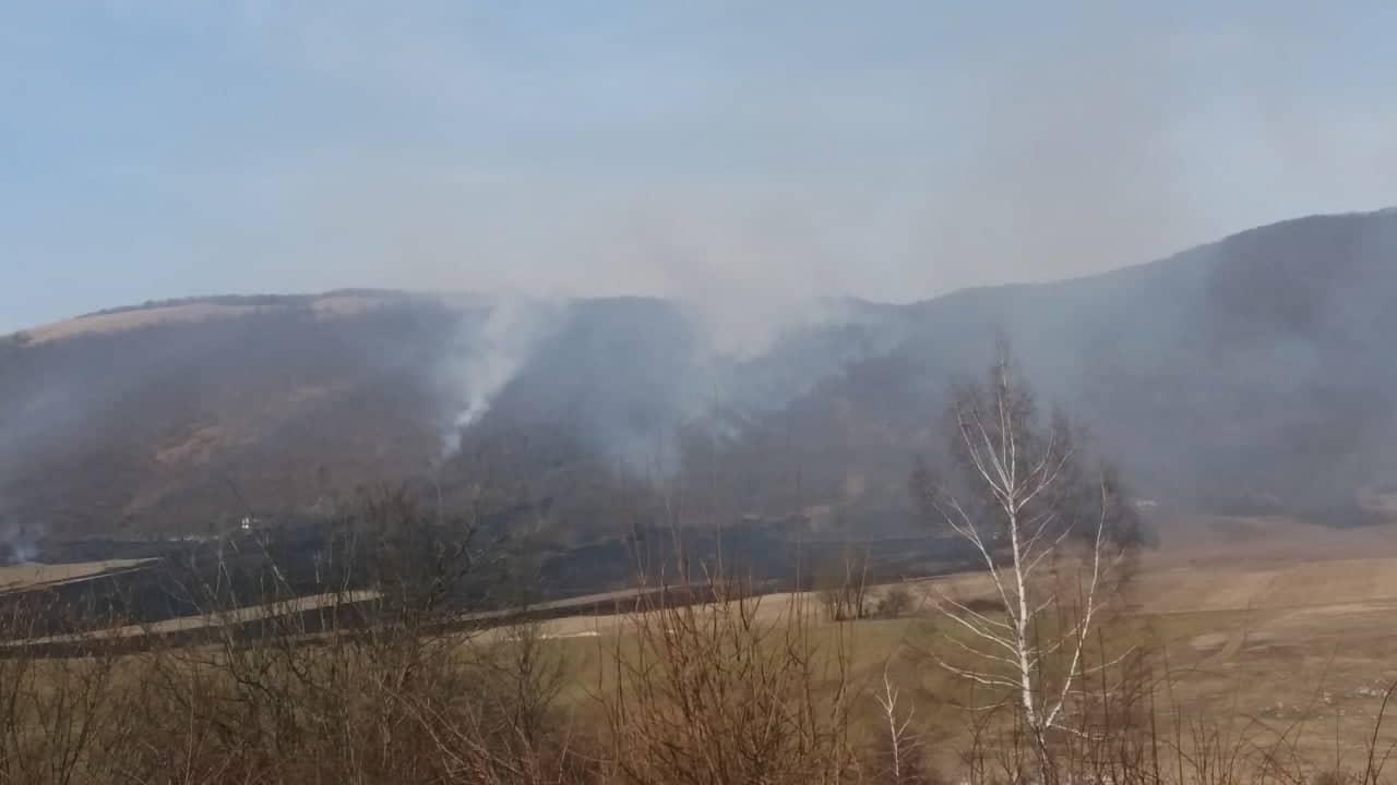 Vatra zahvatila veći dio šume - Avaz