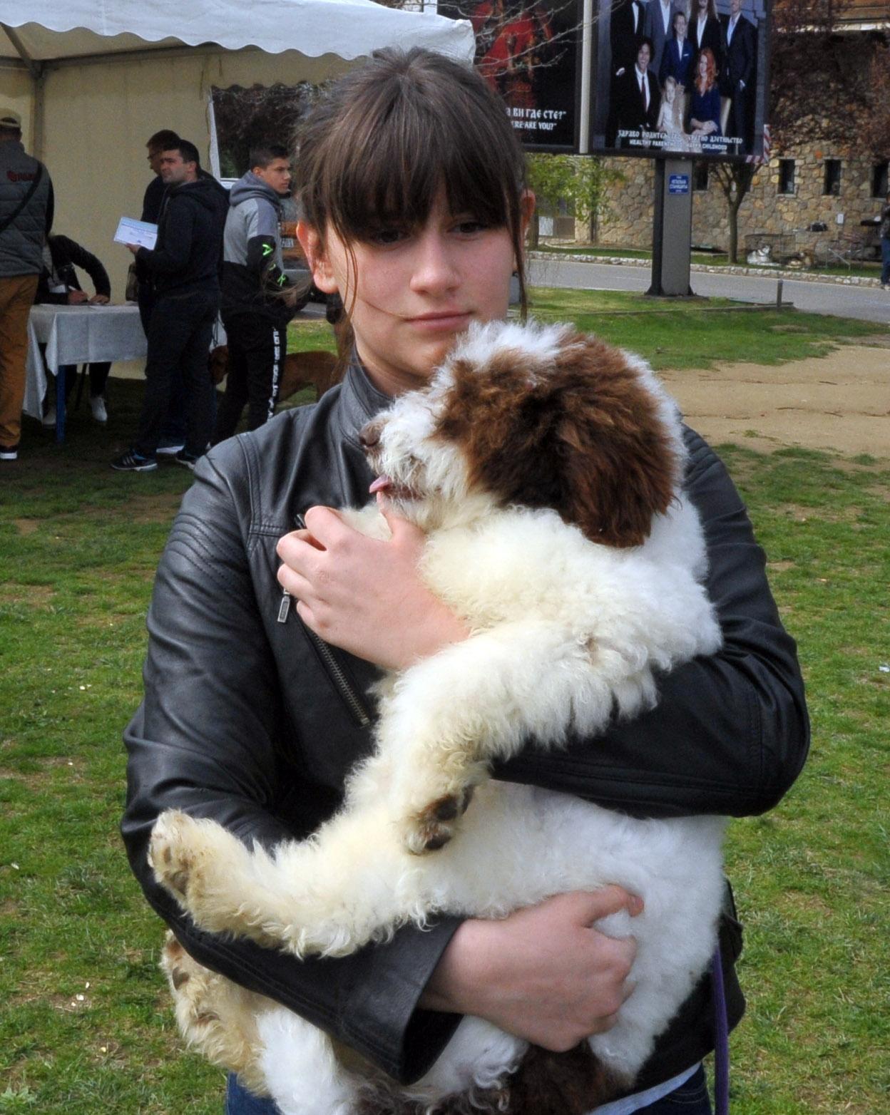 Pas za pronalaženje tartufa „lagotto romonjolo“ - Avaz