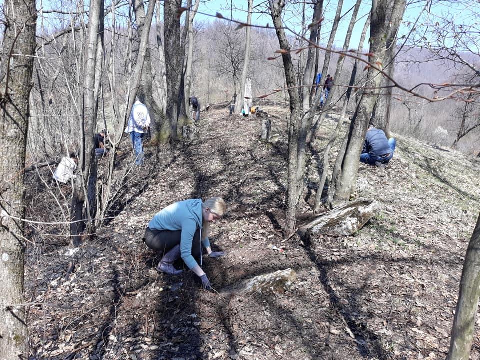 Stećci većinom porušeni, oštećeni i obrasli travom