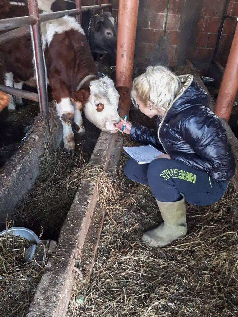 Kao veterinarski tehničar često je i na farmama - Avaz