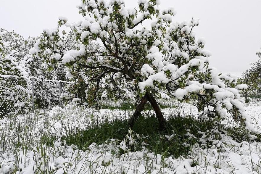 Zabijelila se Krajina: Snijeg napadao u Cazinu, Bosanskom Petrovcu, Prijedoru...