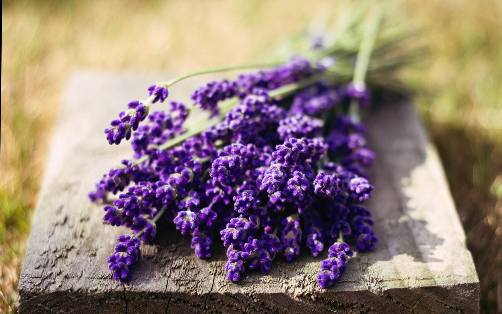 Lavanda ima široku primjenu - Avaz