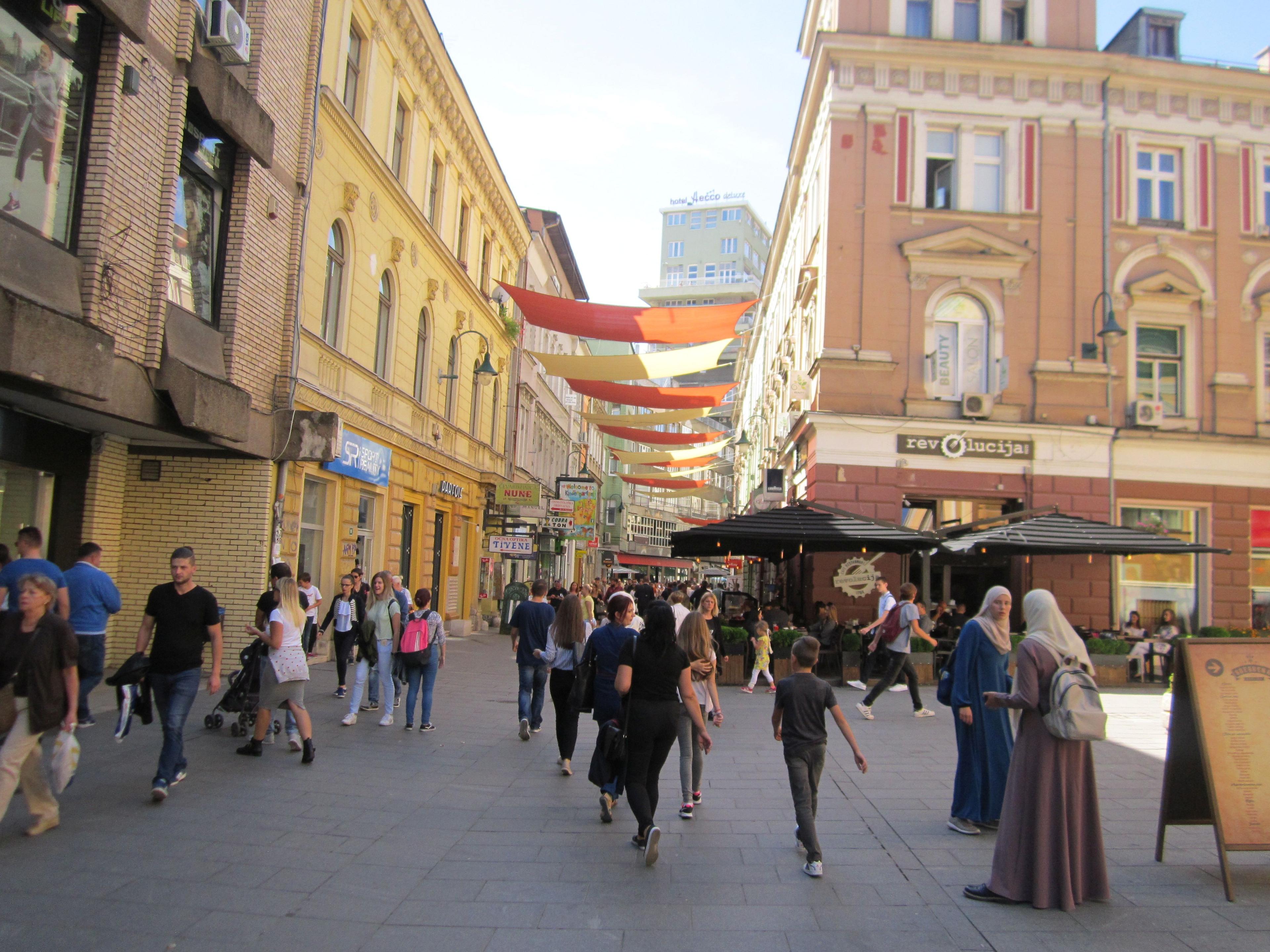 Građani uznemireni, najezda žohara u Sarajevu