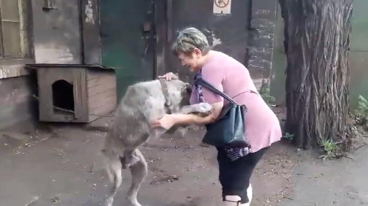 Ukrali joj psa prije dvije godine, a onda ga je slučajno pronašla