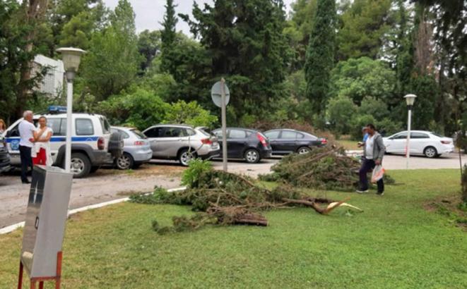 Trudnica iz Bijeljine spasila dječaka od utapanja