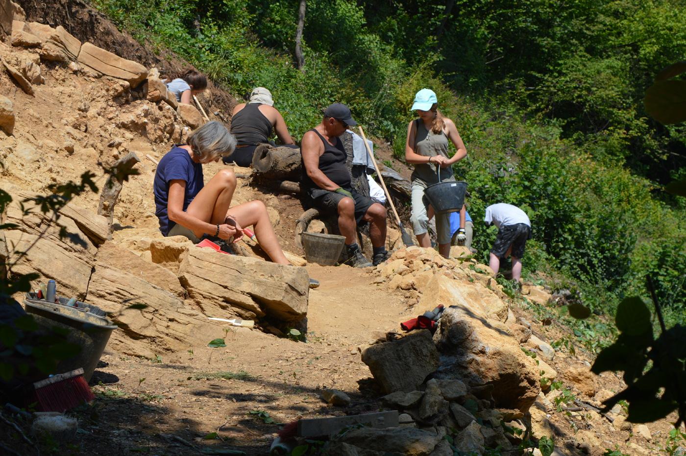 Volonteri žele postati dio jednog velikog projekta - Avaz