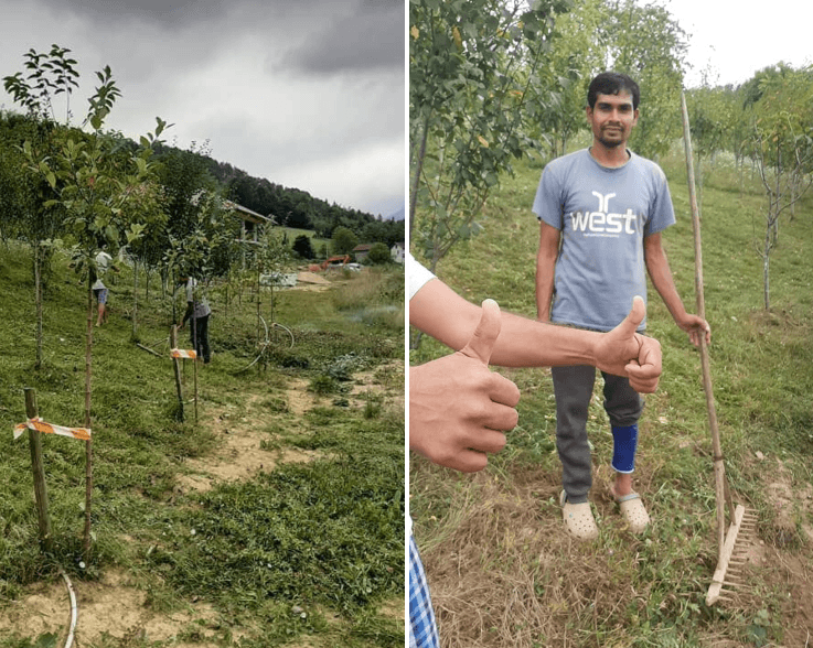 Lijep primjer: Migranti kupe sijeno da zarade za kartu