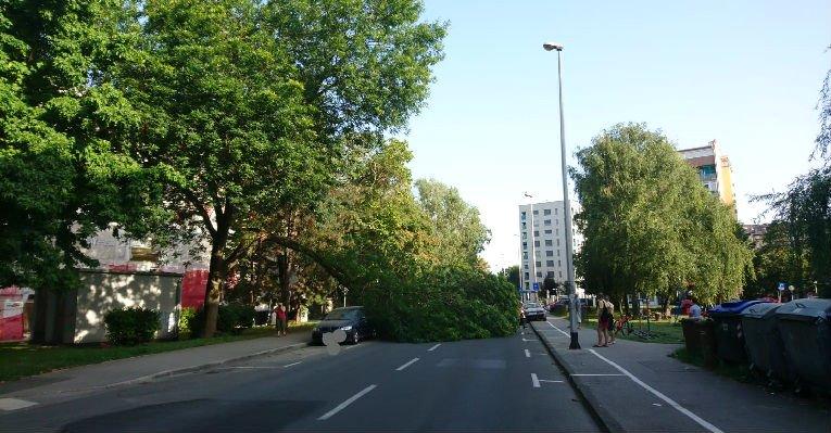 Vozač prošao bez povreda - Avaz