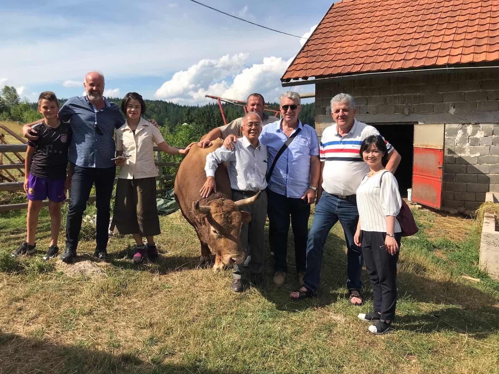 Kako su koride u Čevljanovićima i Grmeču povezale BiH i Japan