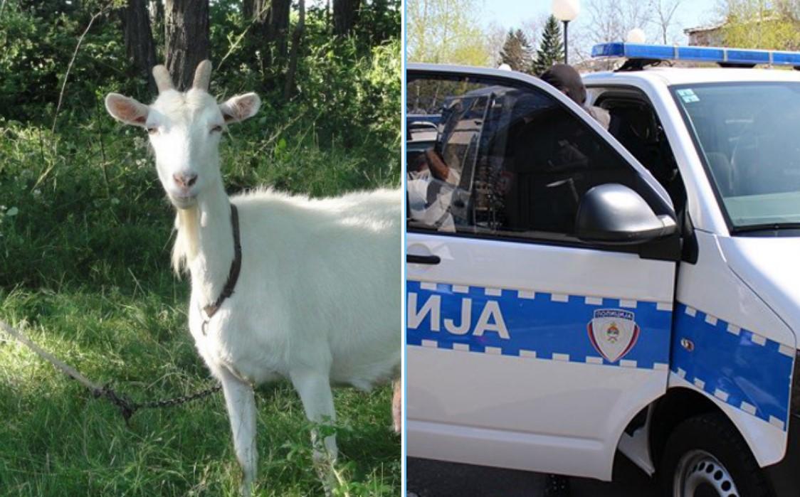 Stravičan slučaj: Banjalučanin silovao pa zadavio kozu