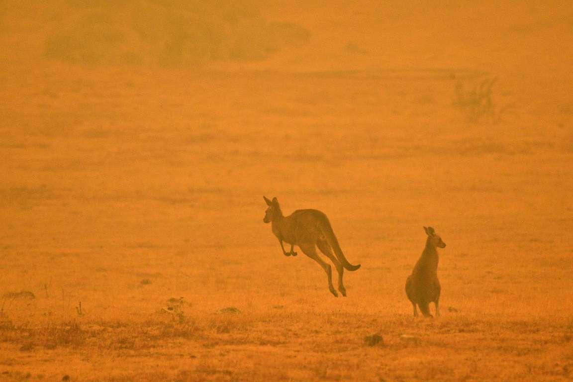 Požari pustoše Australiju - Avaz