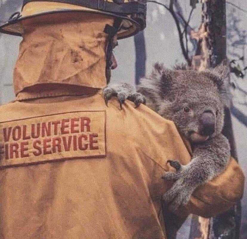 Požar u Australij - Avaz