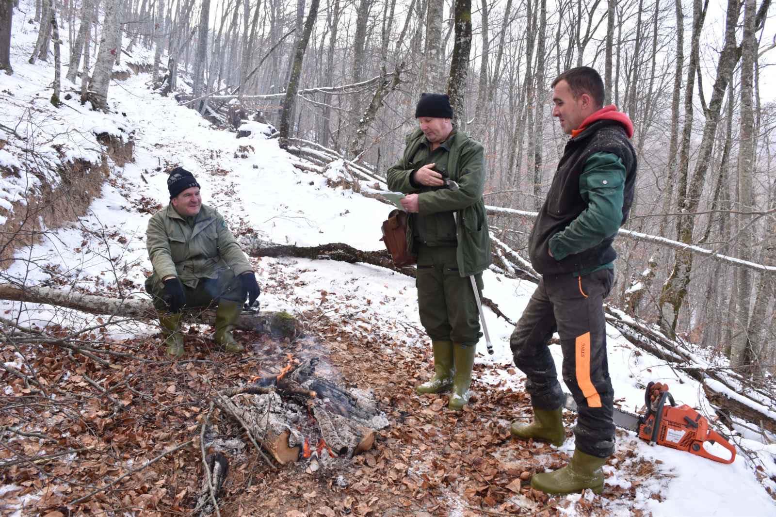 Radnici JP „Bosanskopodrinjske šume“ - Avaz