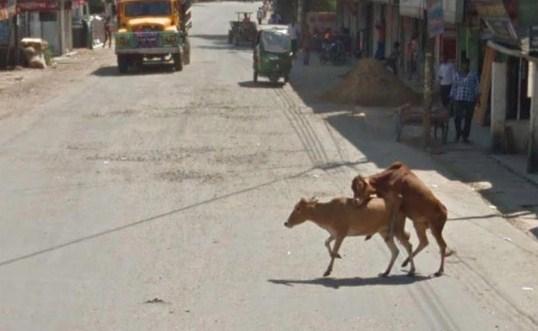 Google Street View snimio bizarne fotografije - Avaz