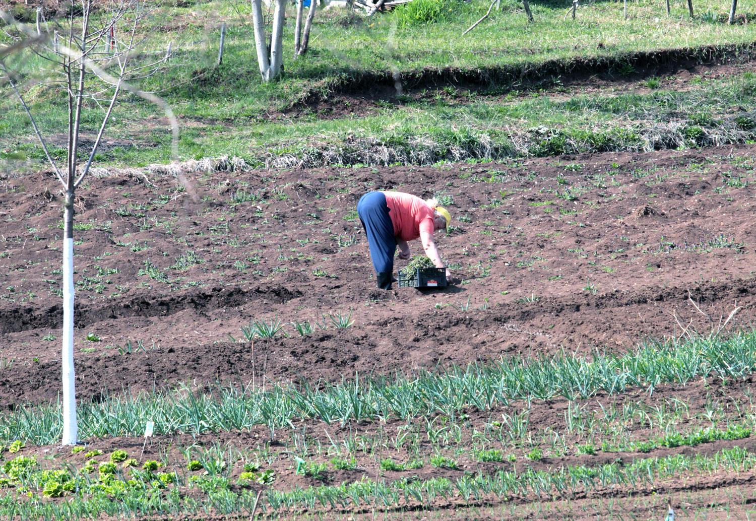 Tuzlaci: Mora se živjeti i poslije koronavirusa - Avaz