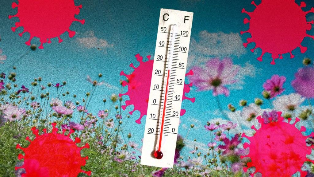 Gdje god su temperature bile niže, broj slučajeva Covida-19 počeo se brzo povećavati - Avaz