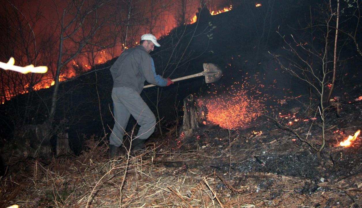 Požar u Tuzli - Avaz