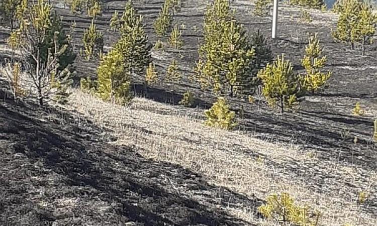 Većina požara izazvana nepažnjom građana - Avaz